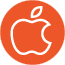 application developer